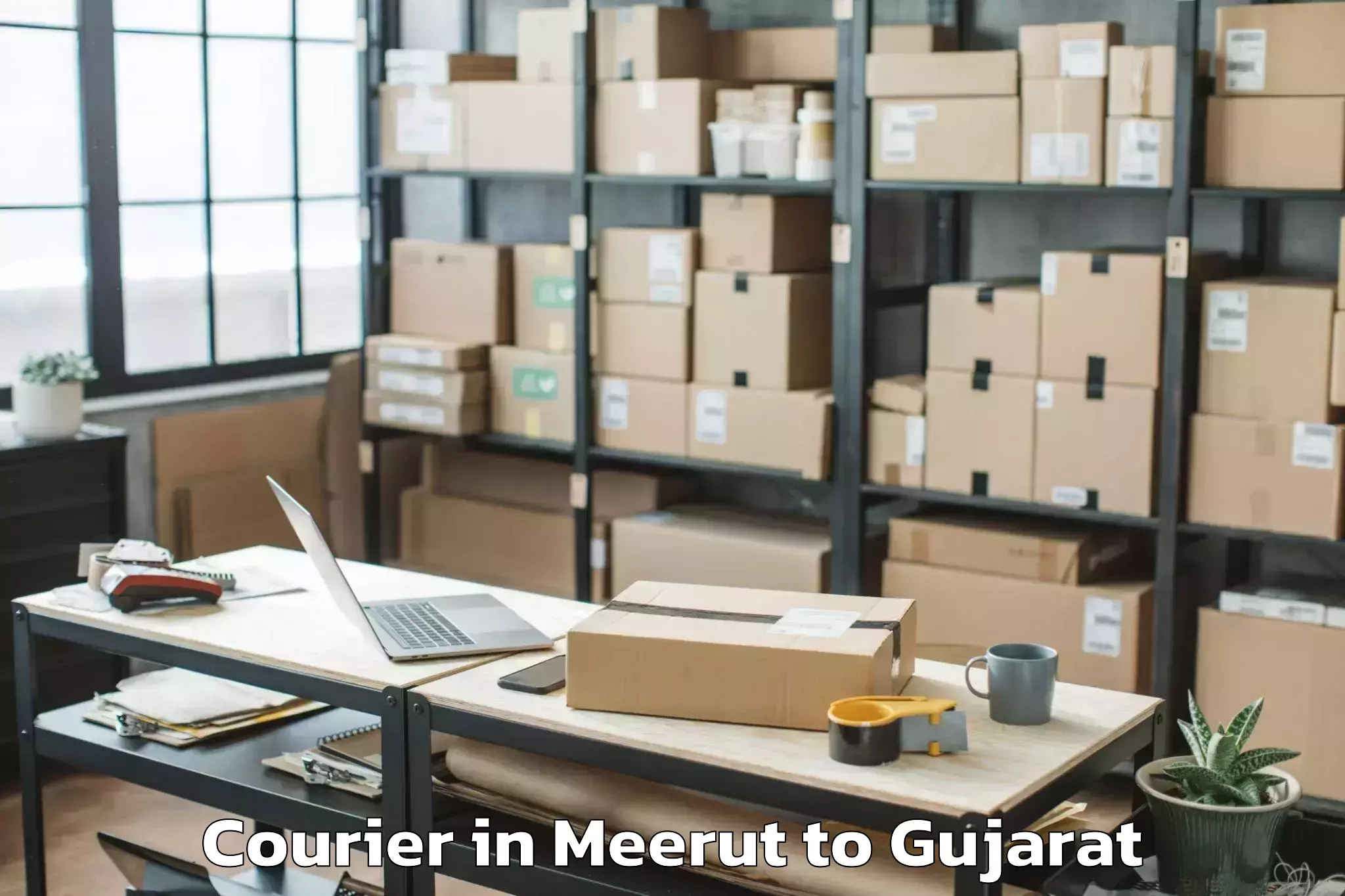 Expert Meerut to Dahod Courier